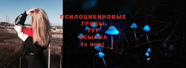 a pvp Ладушкин