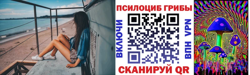 продажа наркотиков  Фрязино  ссылка на мегу сайт  Галлюциногенные грибы Psilocybe 